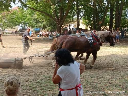 IMG_20260801_154915